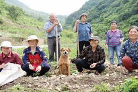 山村丰收方案 追求的不仅是“三赢” 更是更具价值的“多赢”局面