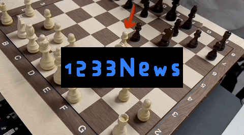 树莓派爆改国际象棋，棋子活了自己动