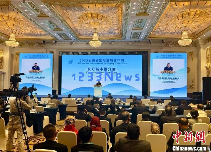 “友谊种子”开花结果 云南国际友城合作走深走实：携手共创多元文化新未来