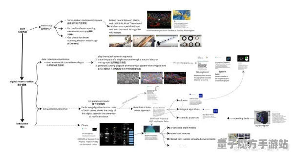 《重返未来：1999》生活职业-2025春季最新优化-亚马逊Luna-脑机接口2.0（本内容仅限技术研究）