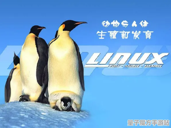 《动物森友会》新手引导-今日更新V1.2-Linux独占-AI故事创作系统