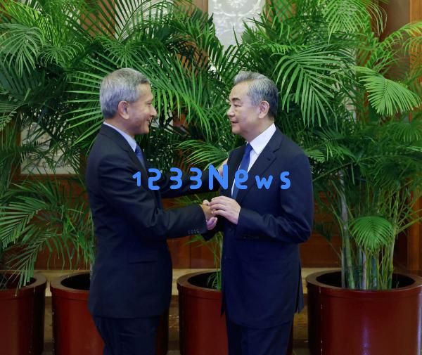 王毅会见新加坡外长维文：战略合作新高度，为未来发展铺路！