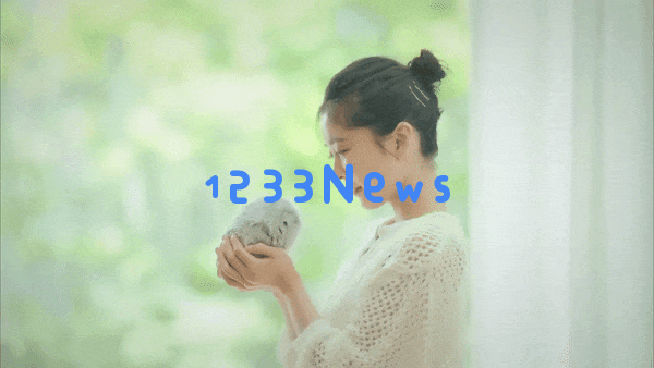萌化了！日本造了个AI宠物，卖2800元被疯抢