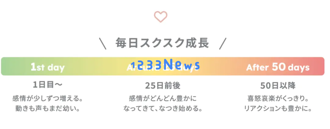 萌化了！日本造了个AI宠物，卖2800元被疯抢
