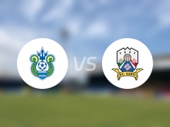 【天皇杯】湘南丽海对阵FC岐阜伤病情况更新及分析(2025年06月11日)