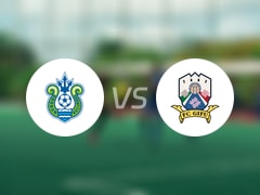 天皇杯赛事展望：湘南丽海对阵FC岐阜的比赛预测与分析（2025年06月11日）