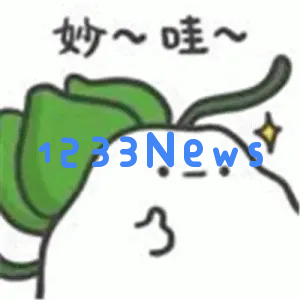 用 RFlow AI，搞学术研究的全部都稳啦！
