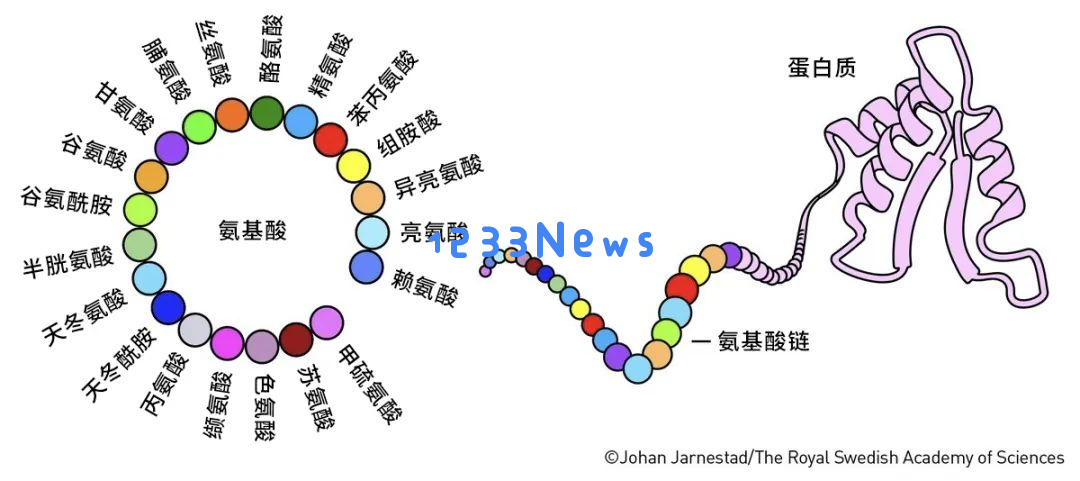 为何AI再次获奖？因为它在短短半小时内完成了以往几年的繁重工作
