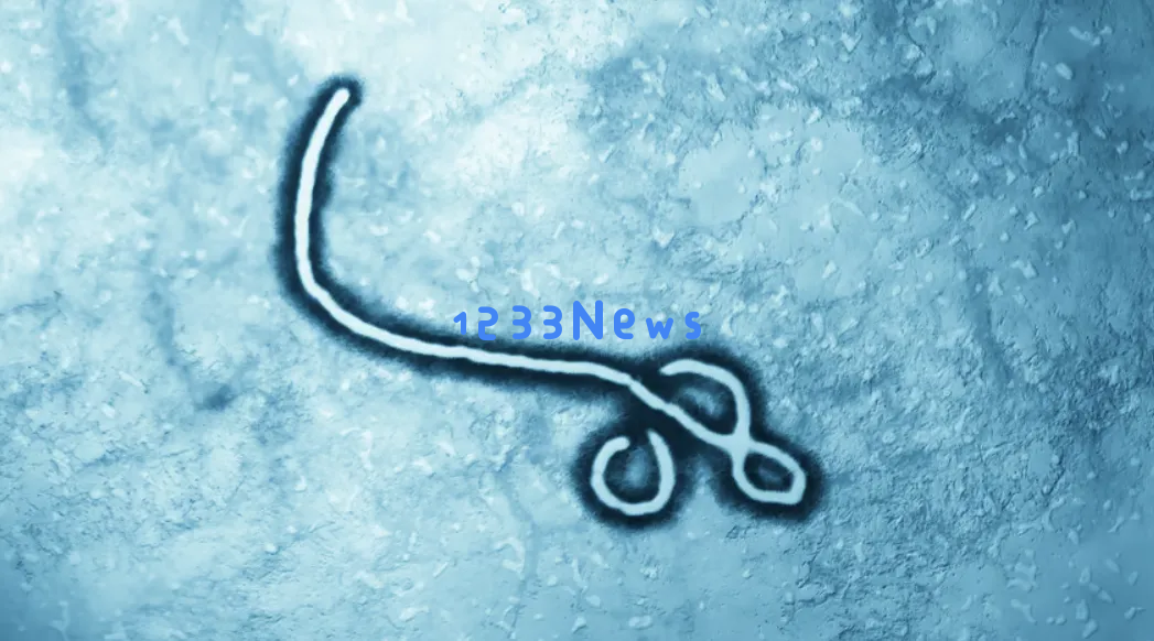 人工智能模型成功检测到16万种新型病毒，其中有7万种是科学史上首次发现的未知病毒