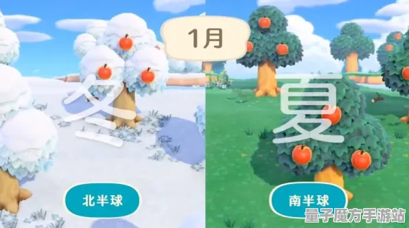 《动物森友会》PVP技巧解析-国庆假期前瞻-跨平台联机体验-全新体感互动玩法