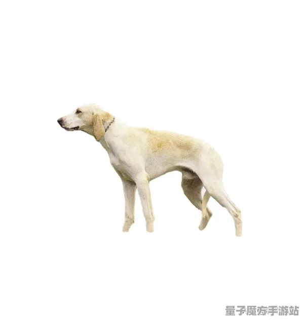 《文明6》举报机制-2025春季最新优化-网页端-体育竞技-全攻略