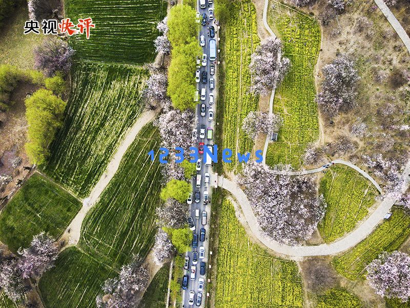 
                    【央视快评】切实维护好民族团结 创造更加幸福美好的生活：和谐社会的必由之路
                
