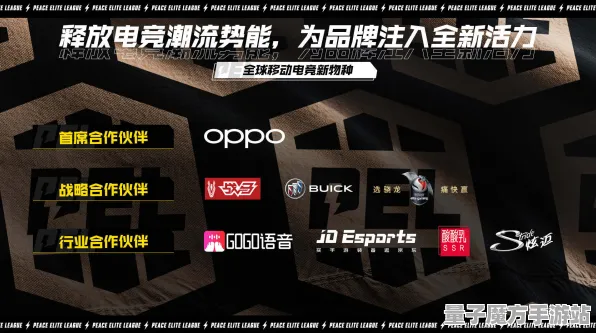 《和平精英》宝石镶嵌-2025春季最新优化-VR一体机-策略战棋-宠物培养指南