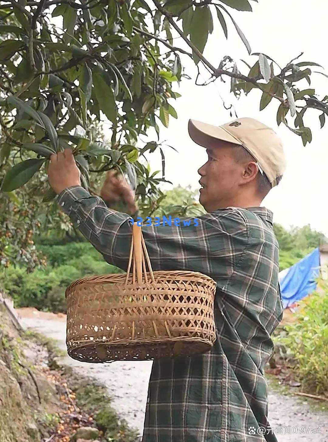 露丝三胎事件背后的真相揭晓，谣言为何总是不能根除