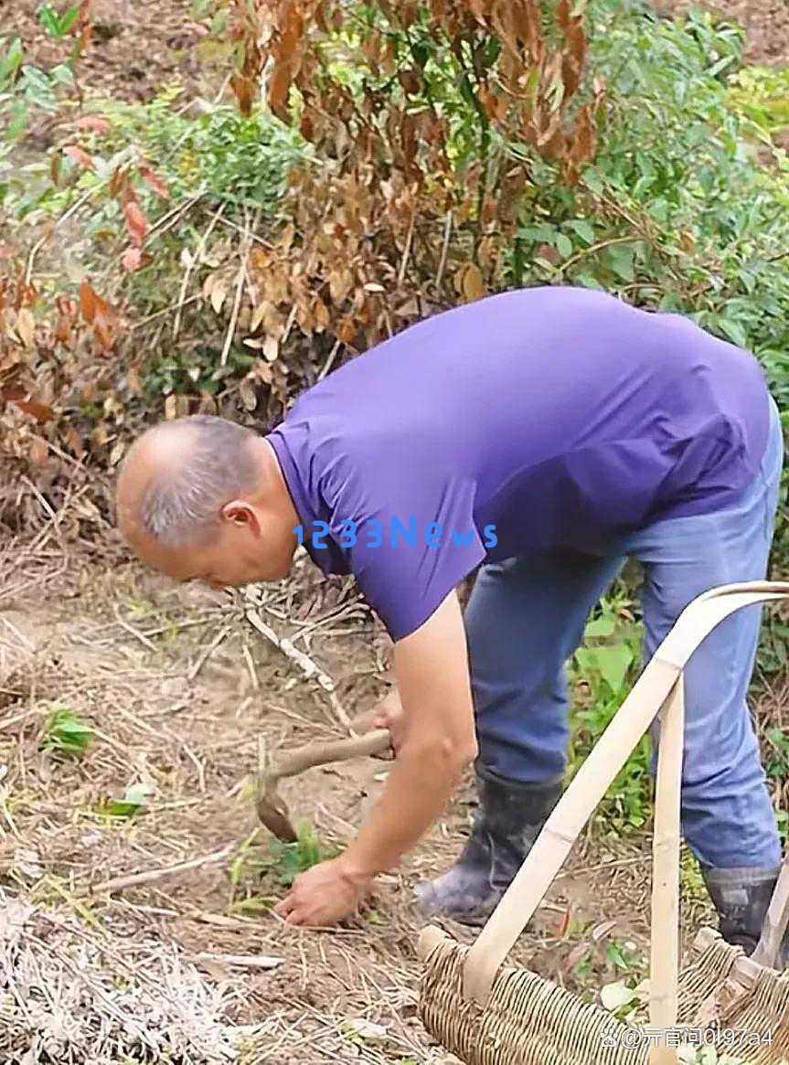 露丝三胎事件背后的真相揭晓，谣言为何总是不能根除
