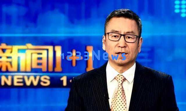 56岁白岩松身患抑郁症，白发苍苍却依然坚持奋斗，感人的人生故事让人动容！