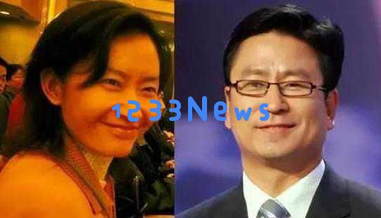 56岁白岩松身患抑郁症，白发苍苍却依然坚持奋斗，感人的人生故事让人动容！