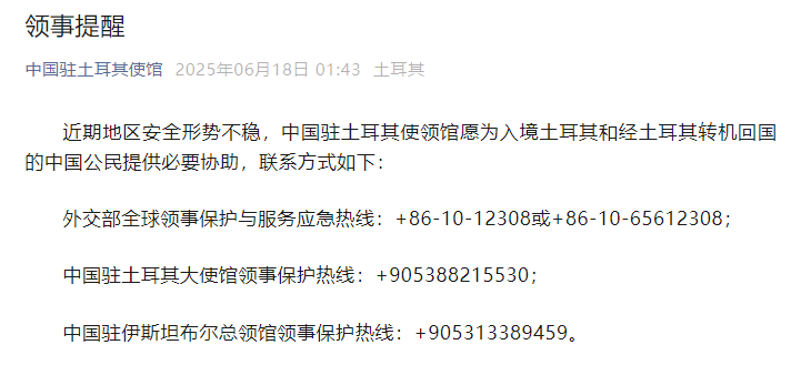 中国驻土耳其使领馆承诺为入境及经土耳其转机回国的中国公民提供必要的支持与协助