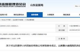 财务管理不规范与内部控制不足，数字人遭遇整改命令及警示函发出