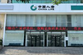 中国人寿肥城支公司举办“爱与责任，保险助力美好生活”系列宣传活动