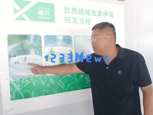 强农先锋丨郭新岗：为确保大姜安全而不断努力，专注耕耘只为丰收