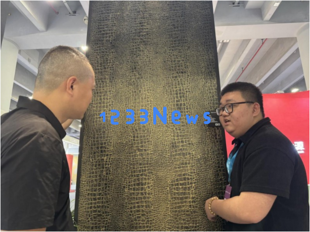 在建博会高调展现，VillaePaint为何成为艺术漆行业的新兴黑马