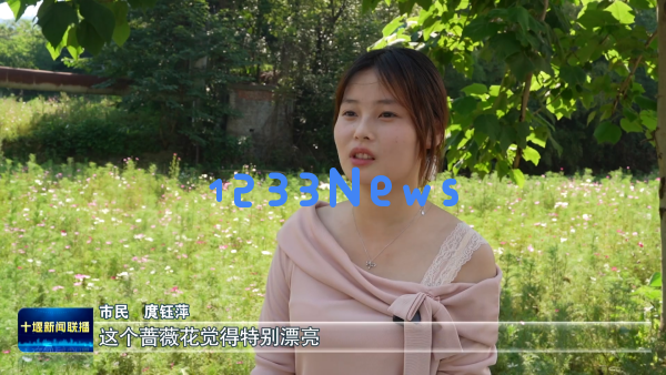 巧妙利用空间！茅箭地区小块土地转变为城市绿化宝地