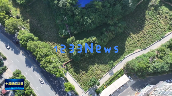 巧妙利用空间！茅箭地区小块土地转变为城市绿化宝地