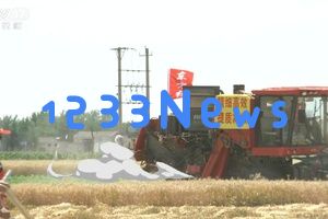 大国粮食战略 | 当农机在麦田中大放异彩，我们依然铭记昔日“麦客”的风采与贡献……