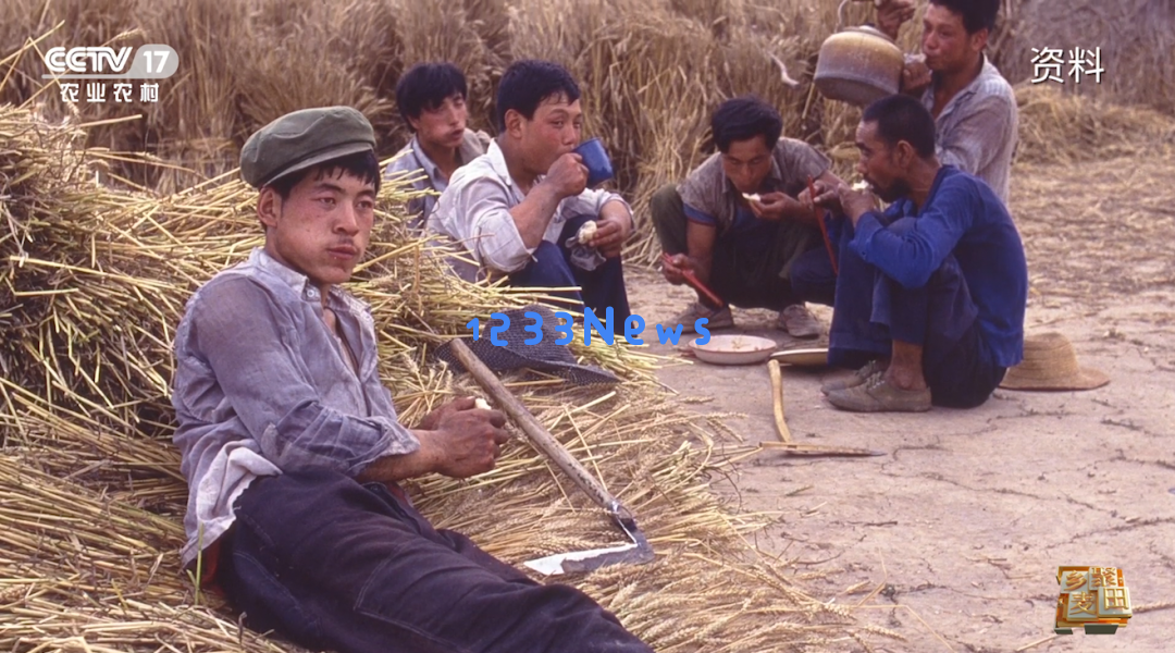 大国粮食战略当农机在麦田中大放异彩，我们依然铭记昔日“麦客”的风采与贡献……