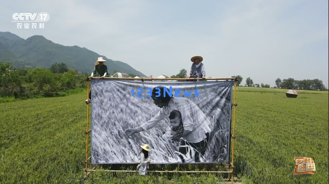 大国粮食战略当农机在麦田中大放异彩，我们依然铭记昔日“麦客”的风采与贡献……