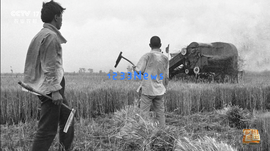 大国粮食战略当农机在麦田中大放异彩，我们依然铭记昔日“麦客”的风采与贡献……