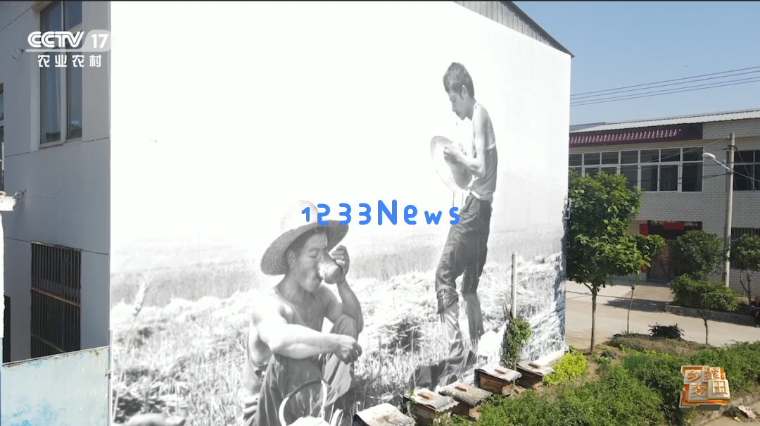 大国粮食战略当农机在麦田中大放异彩，我们依然铭记昔日“麦客”的风采与贡献……