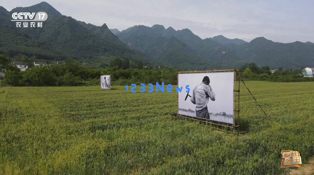 大国粮食战略当农机在麦田中大放异彩，我们依然铭记昔日“麦客”的风采与贡献……