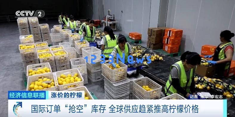 全球供应紧张导致柠檬价格攀升，国际订单迅速“抢购”库存现象加剧