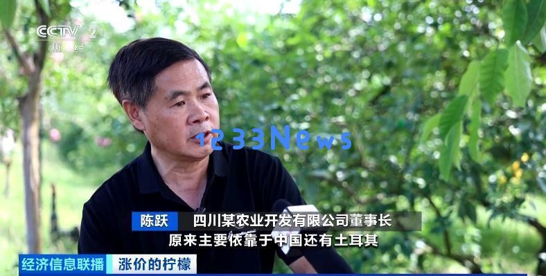 全球供应紧张导致柠檬价格攀升，国际订单迅速“抢购”库存现象加剧