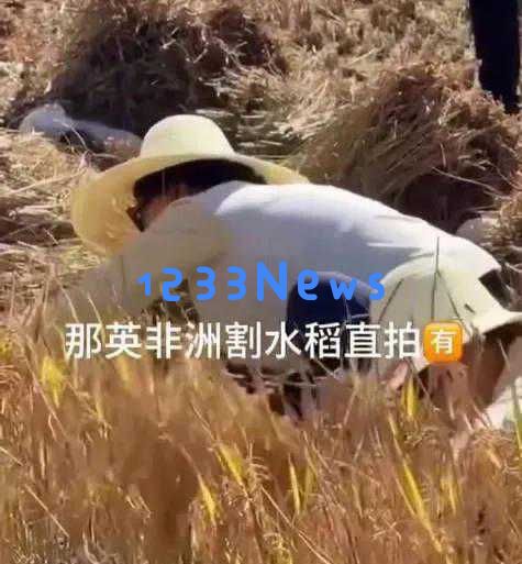 那英在非洲47天归来瞬间变身白月光！扎半披发宛如王菲美丽无比，令人惊艳