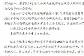 扬州队球员杨笑天在苏超因不当行为被禁赛一场，处罚引发热议