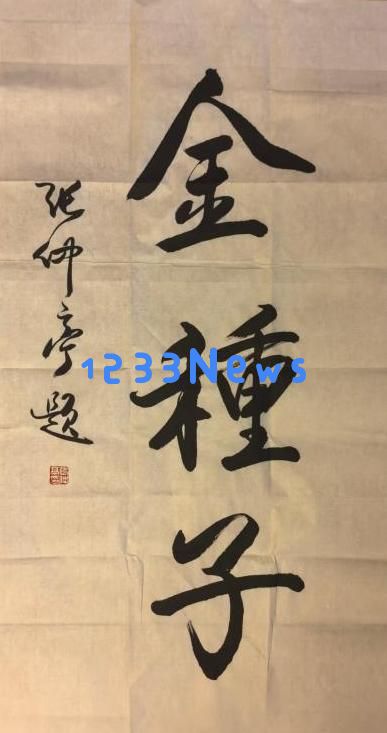金种子工作室与华侨网长沙站成功落成，南北文化在湘地区的融合与发展