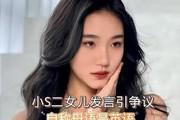 许韶恩从艺人转型画家引发争议，抄袭事件引众怒，网友呼唤真正的艺术实力