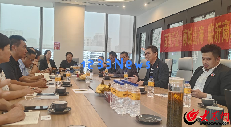 三维协同推动国际化！临沂商城总商会13家优秀企业代表团访问马来西亚