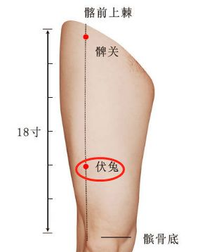 泰安市第一人民医院：盛夏养心的方法，妥善调养让心气充盈