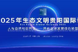 商道咨询管理合伙人李楠：实战ESG破局新思路，为长期价值创造铺路｜2025年生态文明贵阳国际论坛