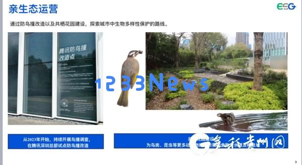 探讨ESG创新实践与可持续绿色发展两家企业的成功案例分享