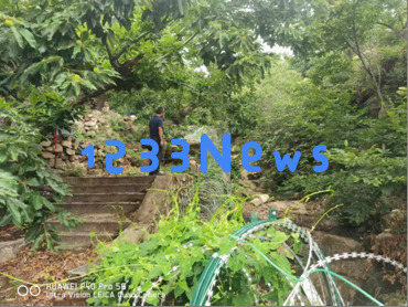 大津口乡近期动态回顾（6月30日至7月6日的重要事件）