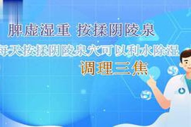 如何在小暑节气中科学养生，保持身体健康与活力