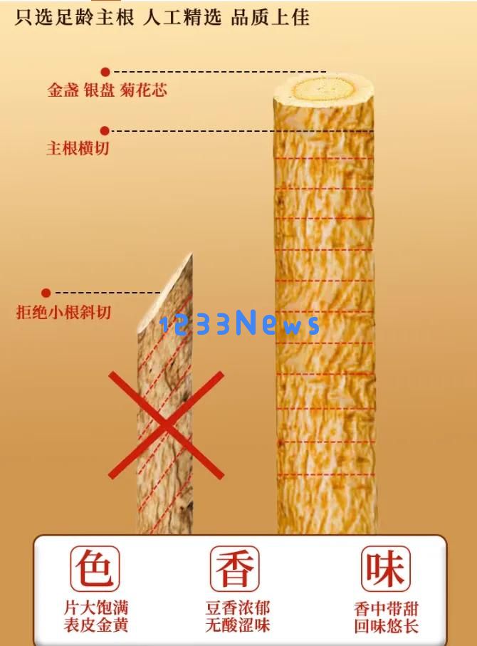 探寻苏轼心爱黄芪的秘密，揭示它背后的健康秘诀与价值所在！