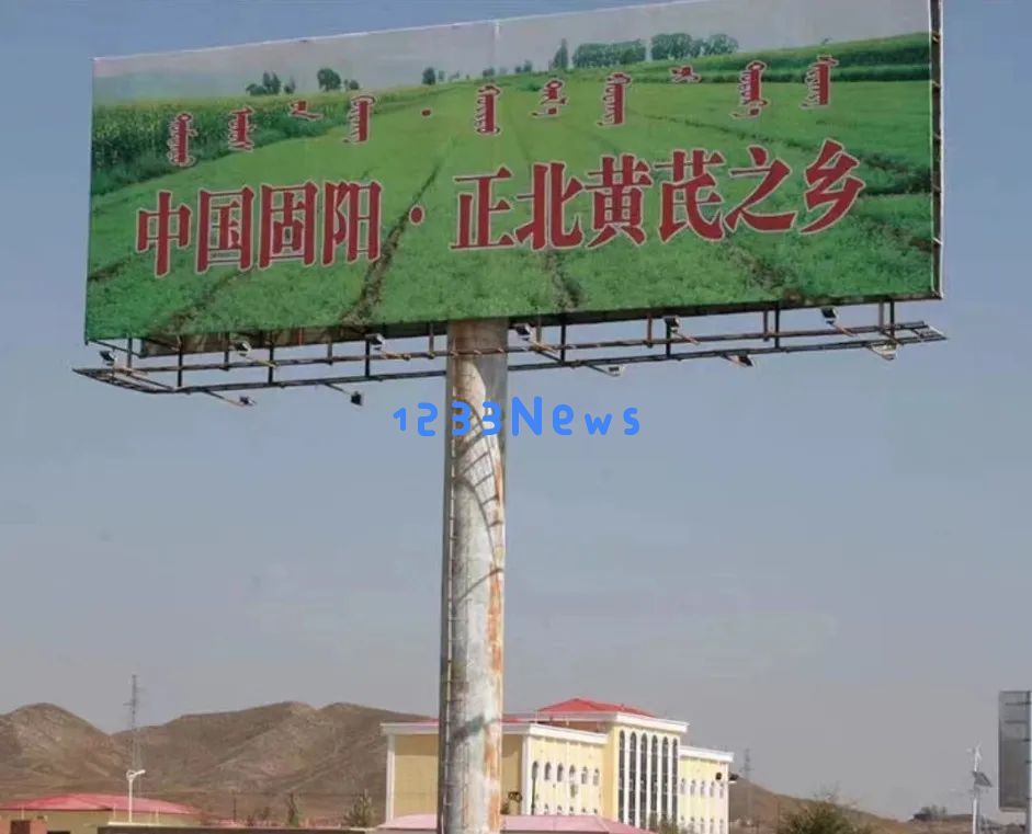 探寻苏轼心爱黄芪的秘密，揭示它背后的健康秘诀与价值所在！