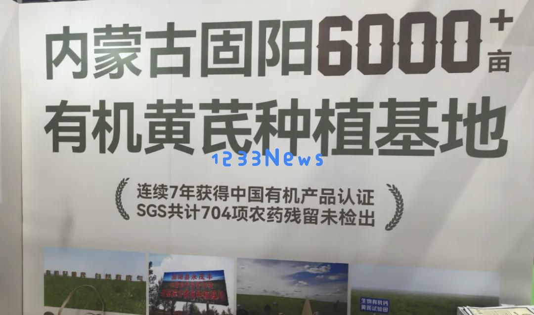 探寻苏轼心爱黄芪的秘密，揭示它背后的健康秘诀与价值所在！
