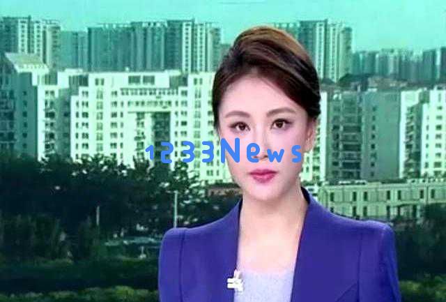 天津台新闻频道13位气质主播直播京津冀特色节目颜值与才华完美兼备